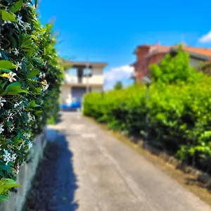 Green Home Appartamento